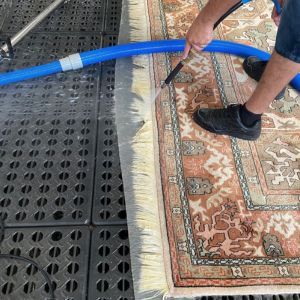 Professional Rug Fringe Cleaning