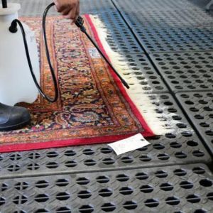 Rug Fringe Cleaning in Oldsmar FL