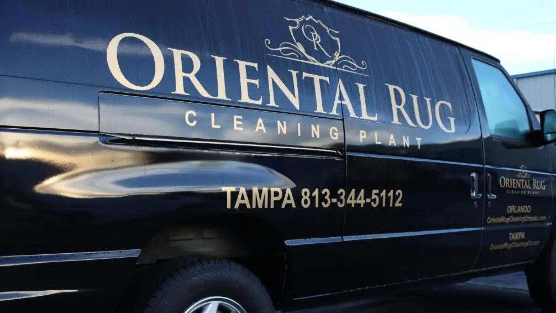 Rug Cleaning Tampa FL Hero